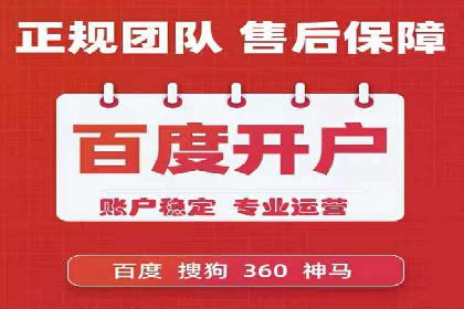 百度推广效果案例解析